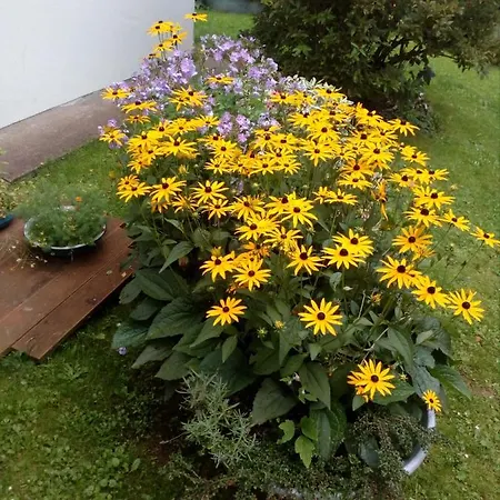 Evelina * Bystre (Pardubice)